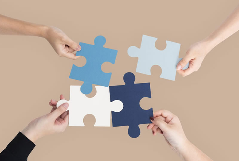 Le leadership distribué : Manager une entreprise sans "chefs" traditionnels.